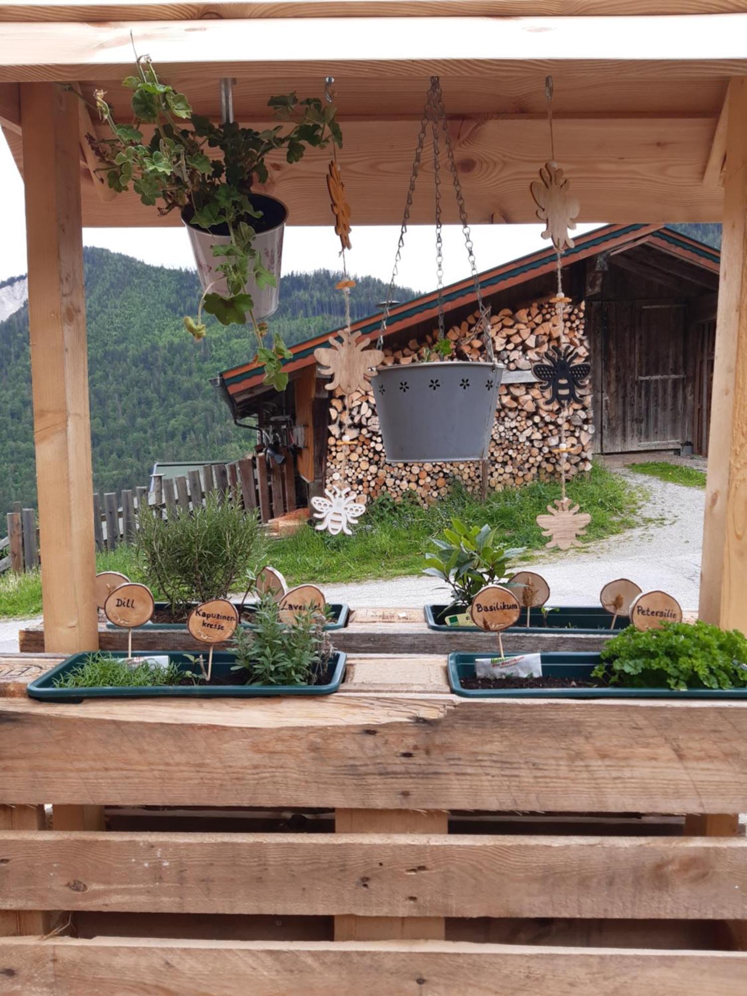 Ferienhaus Lechnerhof Schladming Exteriér fotografie